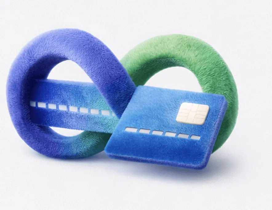 Payment card representing payroll financing